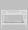 Canary Solid Wood  Bunk Bed in White Finish