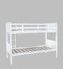 Canary Solid Wood  Bunk Bed in White Finish