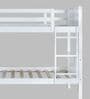 Canary Solid Wood  Bunk Bed in White Finish