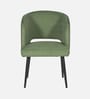 Canas Dining Chair In Green Colour Canas Dining Chair In Green Colour