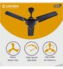 Candes Amaze 900mm /36 inch High Speed Anti-dust Decorative 5 Star Rated Ceiling Fan (AmazeB2CC)