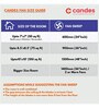 Candes Amaze 900mm /36 inch High Speed Anti-dust Decorative 5 Star Rated Ceiling Fan (AmazeB2CC)