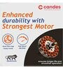 Candes Amaze 900mm /36 inch High Speed Anti-dust Decorative 5 Star Rated Ceiling Fan (AmazeB2CC)
