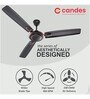Candes Breeza 1200mm/48 inch High Speed Anti-dust Decorative 5 Star Rated Ceiling Fan (BreezaB2CC)