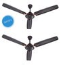 Candes Breeza 1200mm/48 inch High Speed Anti-dust Decorative 5 Star Rated Ceiling Fan (BreezaB2CC)