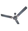 Candes Lynx High Speed Anti-dust Decorative 5 Star Rated Ceiling Fan (48LynxB1cc)
