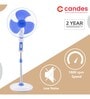 Candes Platine 400mm 3 Blade Automatic Oscillation Pedestal Fan  (16PFWB02)