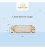 Cane Bed for Dogs