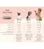 Cane Bed for Dogs