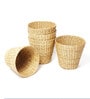 Set Of 5 Beige Seagrass Handwoven Multipurpose Planter & Storage Basket