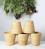 Set Of 5 Beige Seagrass Handwoven Multipurpose Planter & Storage Basket