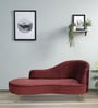 Canedo Velvet Chaise Lounger in Wine Red Colour