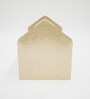 Canopy Tri Large Dog Bed in Natural Colour