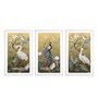 Peacock Brown Cotton Canvas Framed Wildlife Art Panels Set of 3