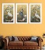 Peacock Brown Cotton Canvas Framed Wildlife Art Panels Set of 3