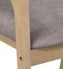 Caprica Armchair in Grey Colour