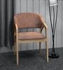 Caprica Armchair in Grey Colour