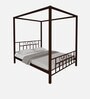 Capricorn Metal Poster Bed in Brown Colour
