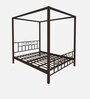 Capricorn Metal Poster Bed in Brown Colour