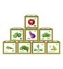 Capsicum, Brinjal, Okra, Chilli, Tomato, Bitter Gourd, Bottle Gourd and Beans Vegetable seed Gardening Kit