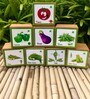 Capsicum, Brinjal, Okra, Chilli, Tomato, Bitter Gourd, Bottle Gourd and Beans Vegetable seed Gardening Kit