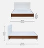 Capsule Meta Queen Size Bed in Walnut Finish