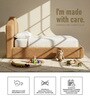 Caramel Arch Kids Toddler Bed In Brown Colour