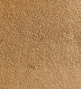 Caramel Arch Kids Twin Bed In Brown Colour