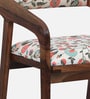 Carden Sheesham Wood Arm Chair with Back Cushion in Scratch Resistant Rustic Teak Finish