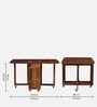 Carion Sheesham Wood 4 Seater Foldable Dining Set In Scratch Resistant Honey Oak Finish Carion Sheesham Wood 4 Seater Foldable Dining Set In Scratch Resistant Honey Oak Finish