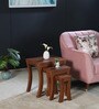 Carissa Solid Wood Nest of Tables in Natural Finish (Set Of 3)