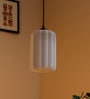 Carla Cylindrical Hanging lights