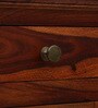 Carleson Sheesham Wood Shoe Cabinet In Honey Oak Finish