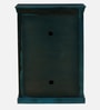 Carleson Sheesham Wood Shoe Cabinet In Scratch Resistant Ocean Blue Finish