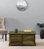 Carleson Sheesham Wood Trunk In Scratch Resistant Spring Green Finish