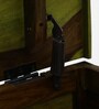 Carleson Sheesham Wood Trunk In Scratch Resistant Spring Green Finish