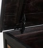Carleson Sheesham Wood Trunk in Warm Chestnut Finish