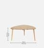 Carlito Solid Wood Coffee Table In Natural Finish