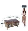 Carlos Sheesham Wood Coffee Table in Walnut &Vintage Grey Finish