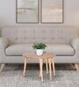 Carlos Solid Wood Coffee Table In Natural Finish