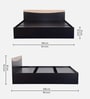 Carol Queen Size Bed in Wenge Finish