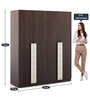 Carona 4 Door Wardrobe in Choco Walnut Finish