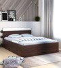 Carona Queen Size Bed with Storage in Choco Walnut Finish