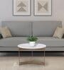 Hynde Round Marble Top Coffee Table In Brass Finish With Marble Top