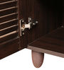 Carry Shoe Cabinet in Brown Finish