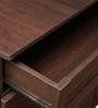Carry Shoe Cabinet in Brown Finish