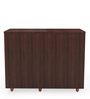 Carry Shoe Cabinet in Brown Finish