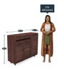 Carry Shoe Cabinet in Brown Finish