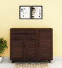 Carry Shoe Cabinet in Brown Finish