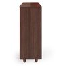 Carry Shoe Cabinet in Brown Finish
